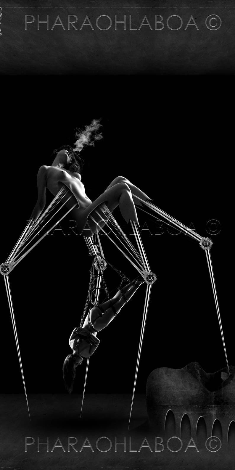 Nude spider Nude Photos 53 Nude spider Nude Photos 15