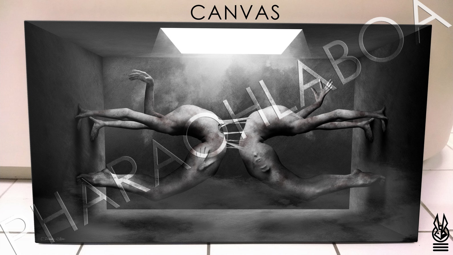 Art Print Metal Canvas Dark Weird Woman Nude Gothic Abstract | Etsy