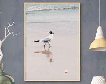 Möwe am Meer Fotografie, Kunstdruck, Poster, maritim, Ostsee, Tiere, Vögel, Pastell, Dekoration, Wohnzimmer, Schlafzimmer, Büro