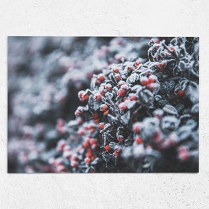 Postkarte Winterhauch, Weihnachtskarten, Grußkarten, Weihnachten, Winter, Geschenkkarten, Fotopostkarte, Fotografie, Naturfotografie