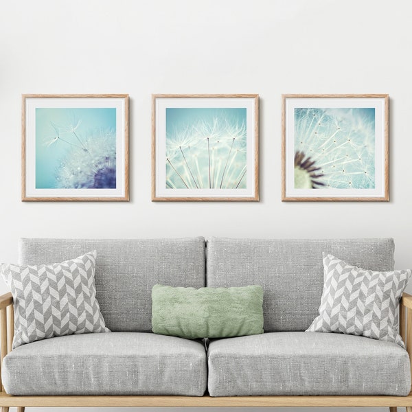 Pusteblumen Fotografie, Set of 3, Nature Photography, Art Prints, Poster, Dandelion, Home Decoration, Wall Design, Living Room, Bedroom