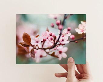 Postcard Spring Blossoms, Birthday, Wedding, Photo Postcard, Greeting Card, Greeting Card, Gift Card, Botany, Tree Blossom