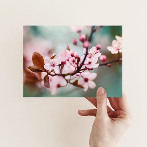 Postcard Spring Blossoms, Birthday, Wedding, Photo Postcard, Greeting Card, Greeting Card, Gift Card, Botany, Tree Blossom image 1
