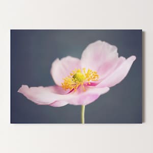 Glückwunschkarte Anemone