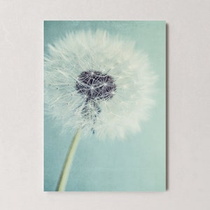 Postkarte Pusteblume, Grußkarte, Geschenkkarte, Fotografie, Löwenzahn, Geburtstagskarte