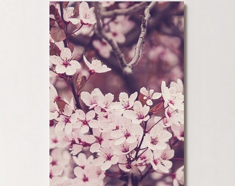 Postcard spring blossoms, birthday, wedding, congratulations card, greeting card, gift card