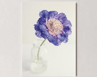 Postkarte Blume, Geburtstag, Hochzeit, Fotopostkarte, Glückwunschkarte, Grußkarte, Geschenkkarte