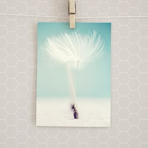 Postkarte Pusteblume, Grußkarte, Geschenkkarte, Fotografie, Löwenzahn, Geburtstagskarte