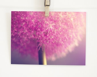 Postkarte Alliumblüte, Grußkarte, Geschenkkarte, Fotografie, Geburtstagskarte, Frühling