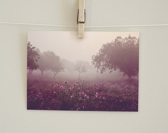 Postkarte Nebel Landschaft, Fotopostkarte, Grußkarte, Geschenkkarte, Fotografie, Naturfotografie, Trauer