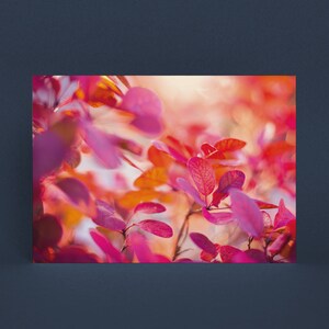 Postkarte Herbstlicht, Fotopostkarte, Grußkarte, Geschenkkarte, Fotografie, Naturfotografie, Geburtstag