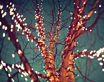 Light Tree Photo, Art Print, Poster, Bokeh, Lights, Tiltshift, Vintage, Retro, Lights, Wall Design, Office, Living Room, Bedroom