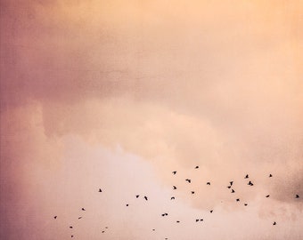 Birds in the sky, nature photography, art printing, poster, texture, home decoration, wall design, office, living room, bedroom, gift