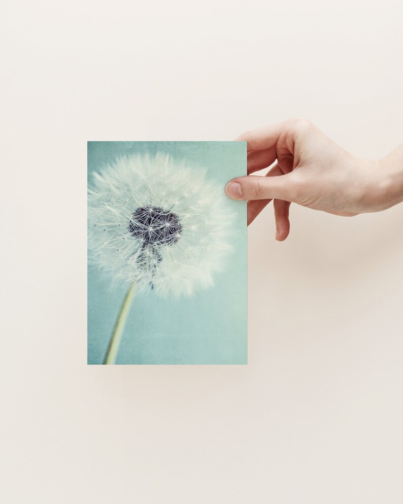 Postkarte Pusteblume, Grußkarte, Geschenkkarte, Fotografie, Löwenzahn, Geburtstagskarte Bild 2