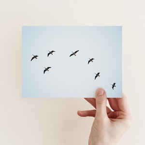Postkarte Zugvögel