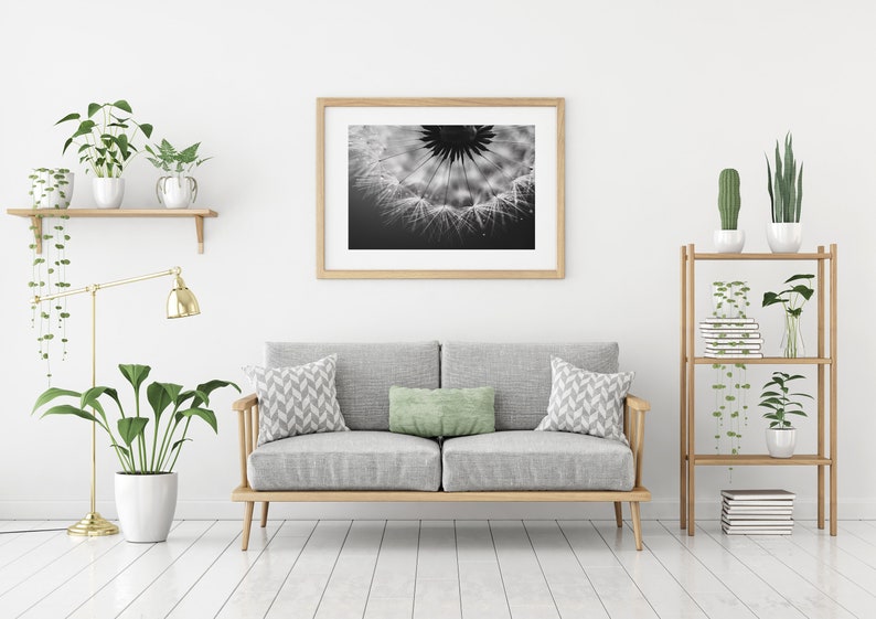 Pusteblume Foto, Naturfotografie, Kunstdruck, Poster, schwarzweiß, Löwenzahn, Dekoration, modern, Büro, Wohnzimmer, Schlafzimmer Bild 3