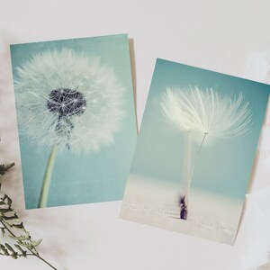 Postkarte Pusteblume, Grußkarte, Geschenkkarte, Fotografie, Löwenzahn, Geburtstagskarte Bild 7