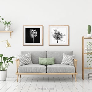 Schwarzweiß Fotografie, 2er Set, Stilleben, Kunstdrucke, Poster, Wohndekoration, Wandgestaltung, Wohnzimmer, Schlafzimmer, Büro, modern Bild 2