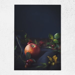 Postkarte Stilleben, Weihnachtskarte, Fotopostkarte, Grußkarte, Geschenkkarte, Fotografie, mood, Melancholie, Hygge, Lifestyle, urban jungle