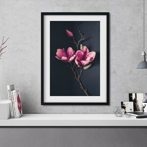 May include: A framed print of a pink magnolia flower branch against a dark blue background.