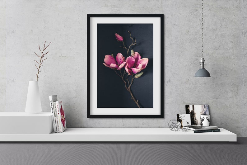 May include: A framed print of a pink magnolia flower branch against a dark blue background.