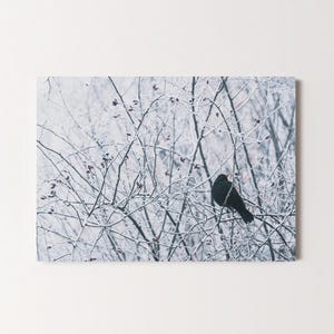 Grußkarte Amsel, Neujahrskarte Weihnachtskarte