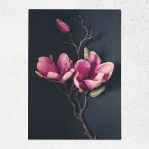 Postkarte Magnolie, Botanik, Fotopostkarte, Grußkarte, Geschenkkarte, Fotografie, mood, Melancholie, Hygge, Lifestyle, urban jungle