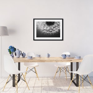 Pusteblume Foto, Naturfotografie, Kunstdruck, Poster, schwarzweiß, Löwenzahn, Dekoration, modern, Büro, Wohnzimmer, Schlafzimmer Bild 6