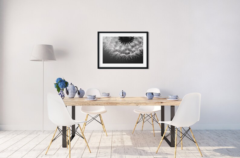 Pusteblume Foto, Naturfotografie, Kunstdruck, Poster, schwarzweiß, Löwenzahn, Dekoration, modern, Büro, Wohnzimmer, Schlafzimmer Bild 6