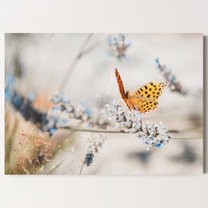 Postkarte Schmetterling, Glückwunschkarte, Geburtstag, Grußkarte, Geschenkkarte, Naturfotografie