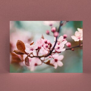 Postcard Spring Blossoms, Birthday, Wedding, Photo Postcard, Greeting Card, Greeting Card, Gift Card, Botany, Tree Blossom image 2