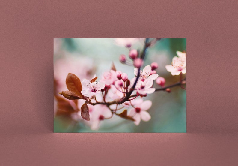 Postcard Spring Blossoms, Birthday, Wedding, Photo Postcard, Greeting Card, Greeting Card, Gift Card, Botany, Tree Blossom image 2