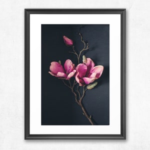 May include: A framed print of a pink magnolia flower branch against a dark blue background.