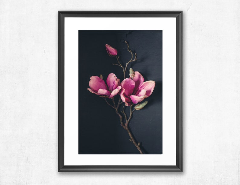 May include: A framed print of a pink magnolia flower branch against a dark blue background.