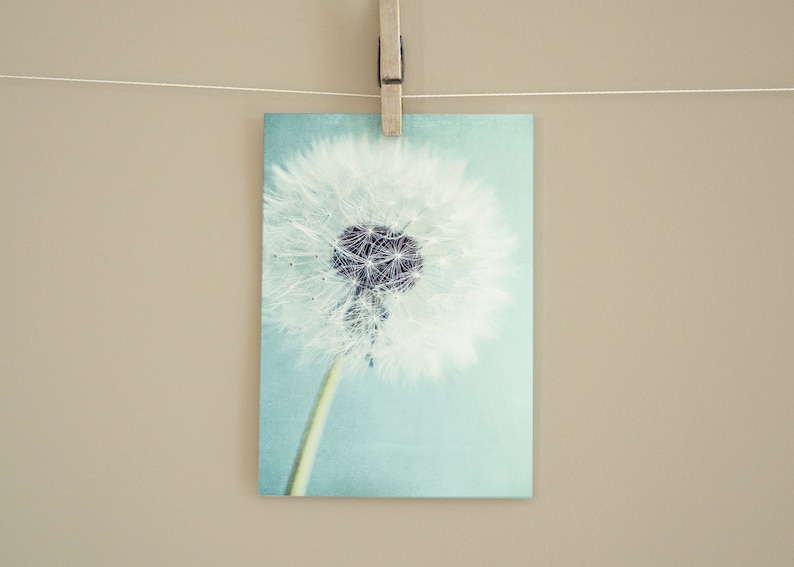 Postkarte Pusteblume, Grußkarte, Geschenkkarte, Fotografie, Löwenzahn, Geburtstagskarte Bild 5