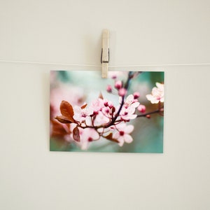 Postcard Spring Blossoms, Birthday, Wedding, Photo Postcard, Greeting Card, Greeting Card, Gift Card, Botany, Tree Blossom image 4