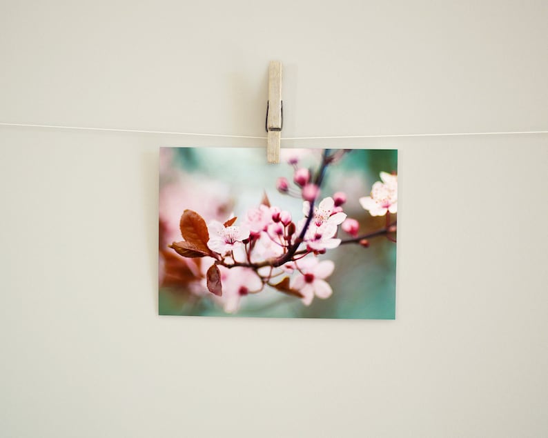 Postcard Spring Blossoms, Birthday, Wedding, Photo Postcard, Greeting Card, Greeting Card, Gift Card, Botany, Tree Blossom image 4