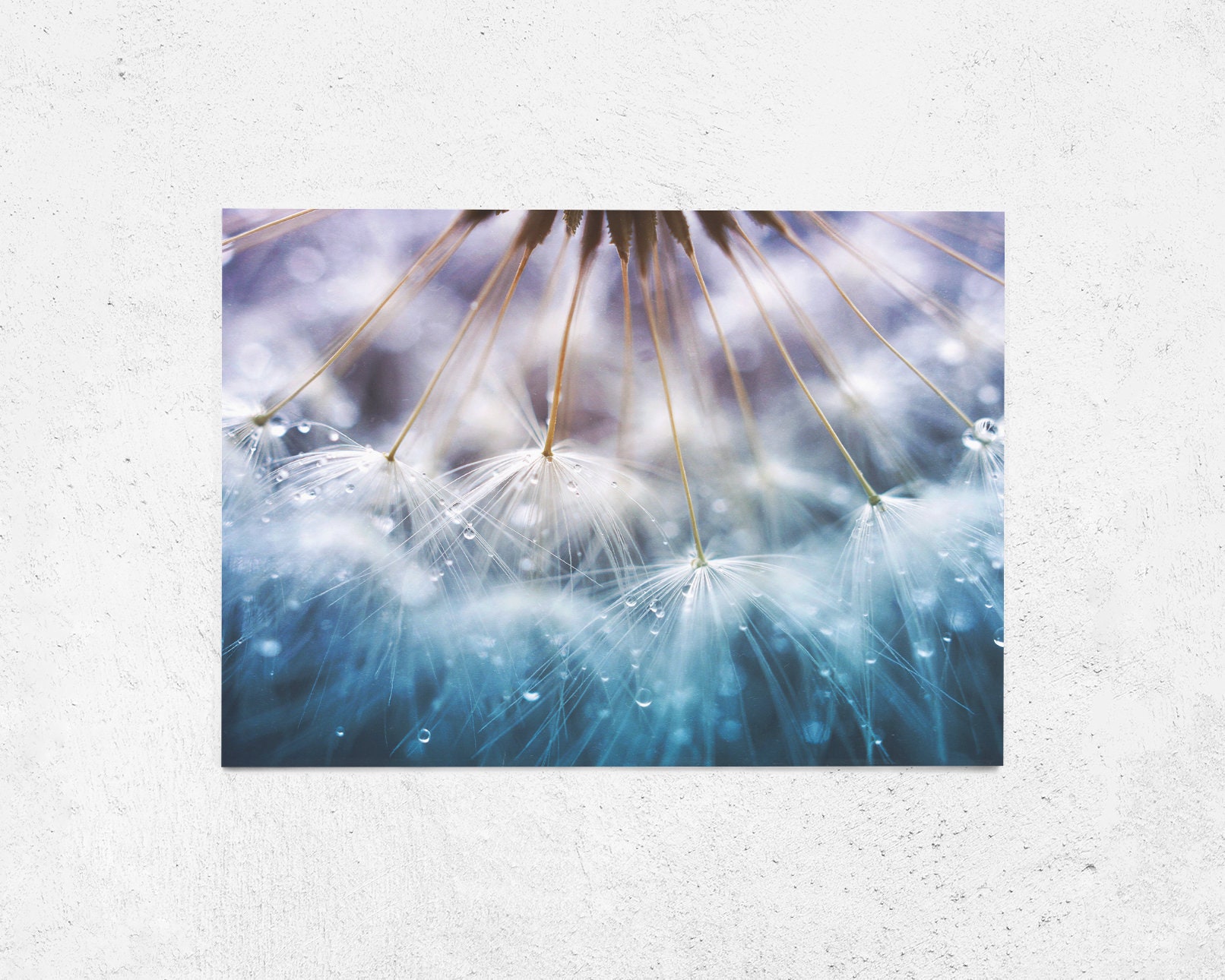 Pusteblume Postkarte, Grußkarte, Geburtstagskarte, Geschenkkarte