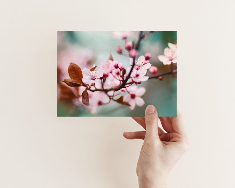 Postcard Spring Blossoms, Birthday, Wedding, Photo Postcard, Greeting Card, Greeting Card, Gift Card, Botany, Tree Blossom image 1