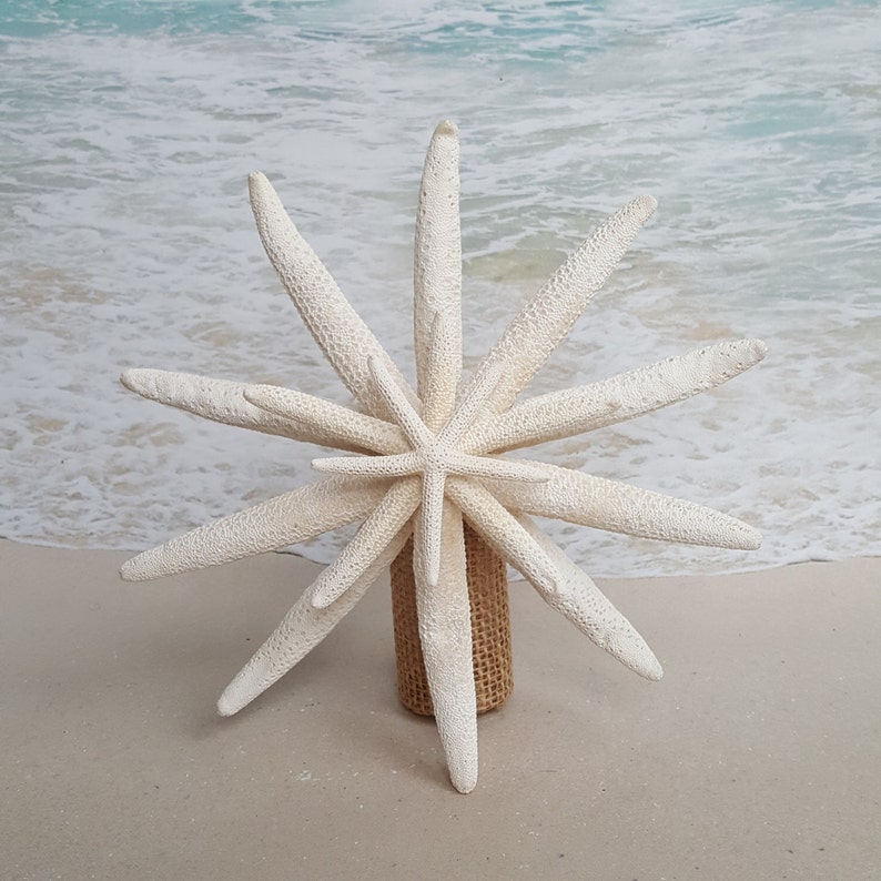 Starfish Tree Topper Rustic Coastal Nautical Beach Christmas Ornament Xmas Beach Tropical pick stem coast beachy tree top wood image 2