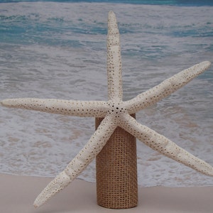 Starfish Tree Topper- Rustic Coastal Nautical Beach Christmas Ornament wood xmas tree top pick stem beachy natural starfish coast