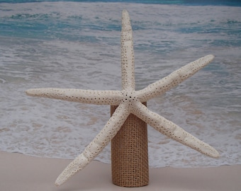 Starfish Tree Topper- Rustic Coastal Nautical Beach Christmas Ornament wood xmas tree top pick stem beachy natural starfish coast
