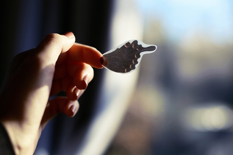 Translucent butterfly wings sticker set Dancing wings
