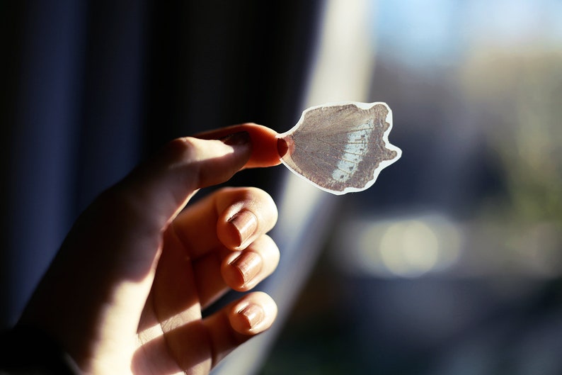 Translucent butterfly wings sticker set Dancing wings