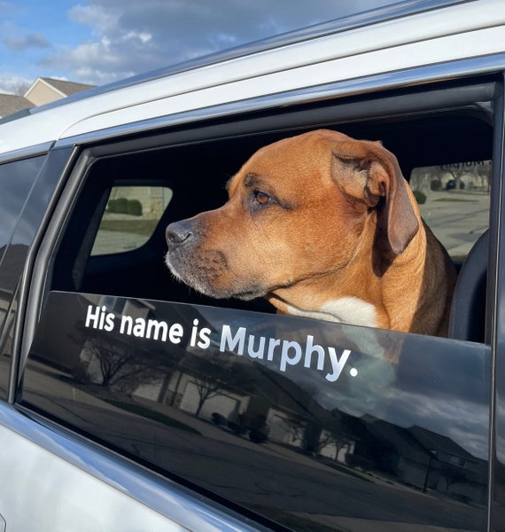Custom dog car decals hot sale