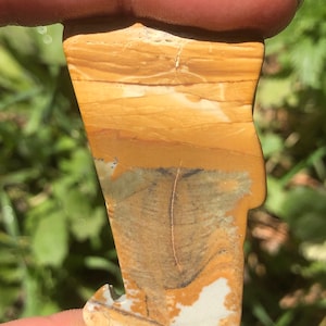 Mountain Desert Scene Picture Jasper Owyhee Picture Jasper Polished Mineral Display Specimen