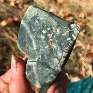 Morrisonite Polished Picture Jasper Specimen