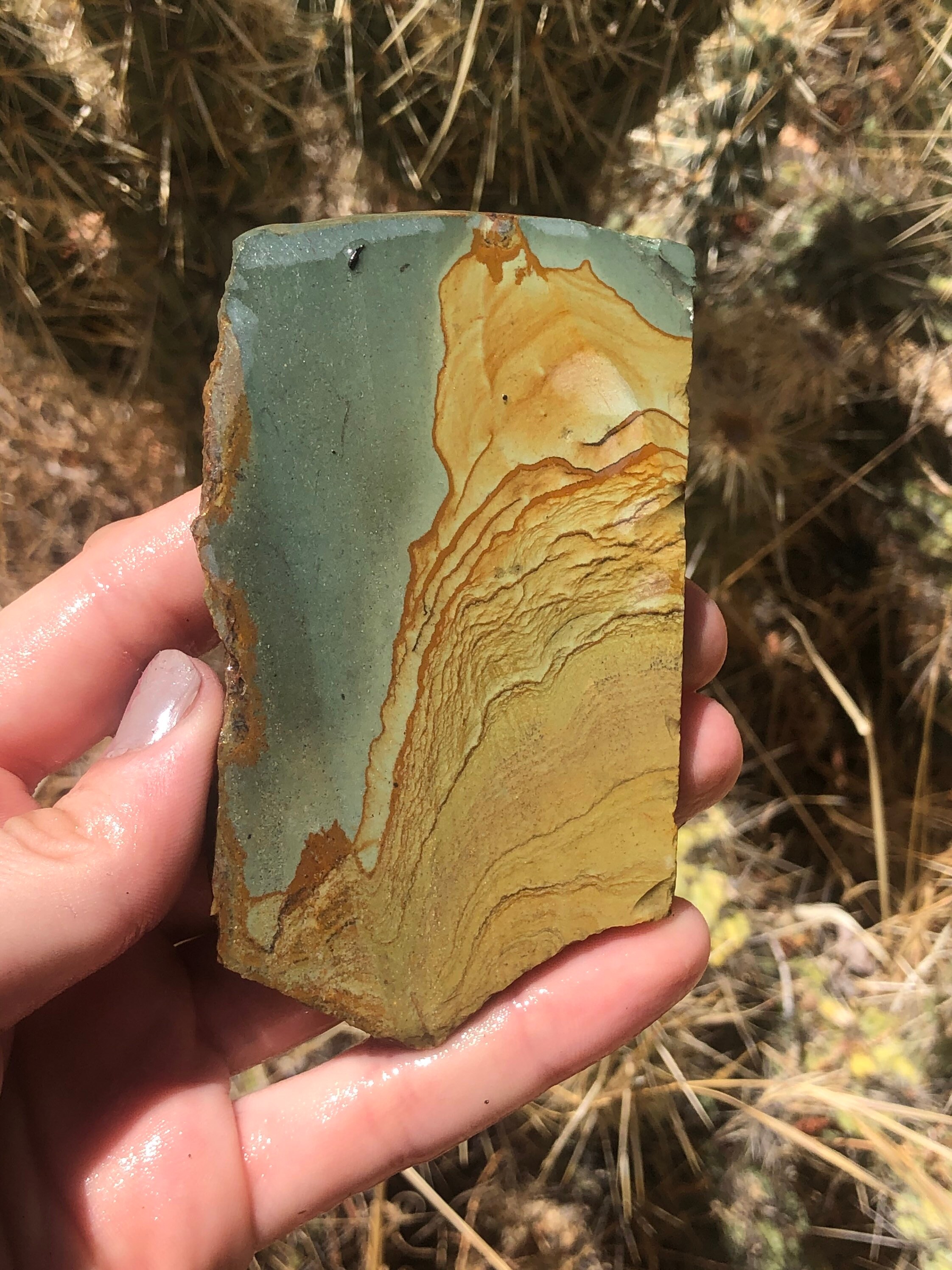 Picture Jasper Lapidary Slab / Blue Owyhee Picture Jasper Etsy
