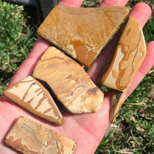 Picture Jasper Polished Slab Lot Five Polished Mineral Display Specimen Slices