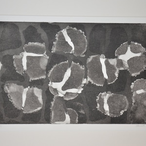 Op de afbeelding: Zwart-witte abstracte print met een textuur, organisch patroon. De print is ingelijst en gesigneerd "Stewart 2015".